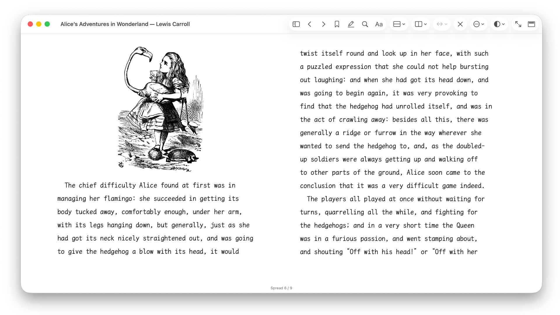 Silverlinger macOS reader screenshot in English